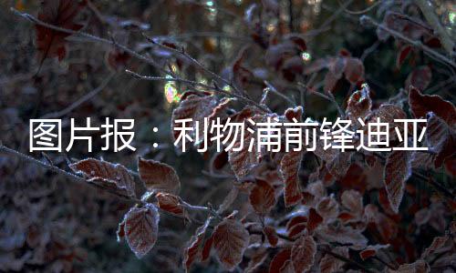 图片头协由于穆西亚拉受伤
