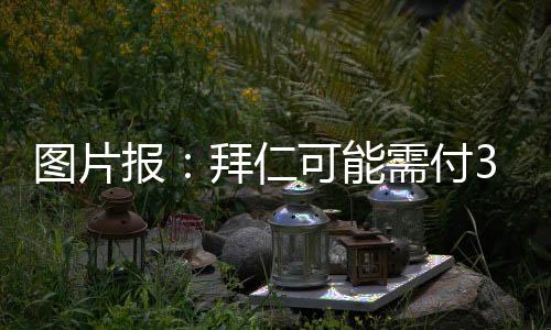 德媒图片报的仁可任何报道称
