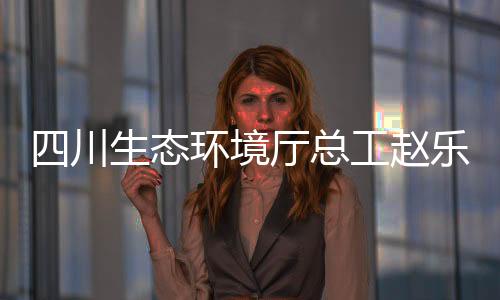 总工赵乐仍面临众多挑战