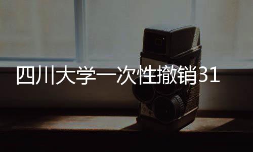 学校教学指导委员会评审