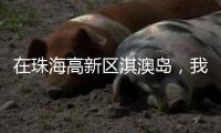 在珠海高新区淇澳岛，我为全运种棵树