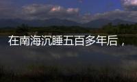 在南海沉睡五百多年后
，它们终于出水展出