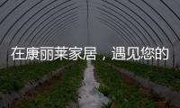在康丽莱家居�，遇见您的专属床垫