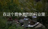 快排公司十年历程，霸屏兔 seo 的崛起与坚守