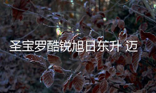 研发
、锐旭日东入新新发展