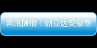 快排公司十年历程，霸屏兔 seo 的崛起与坚守