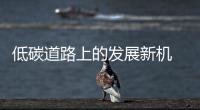 快排公司十年历程，霸屏兔 seo 的崛起与坚守