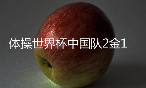 女子高低杠勇夺金牌