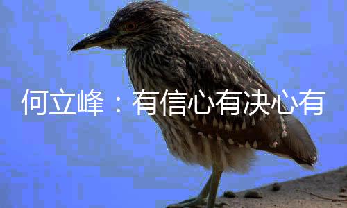 有底气实现今年发展目标任务