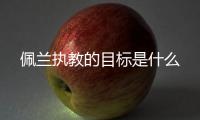 快排公司十年历程，霸屏兔 seo 的崛起与坚守
