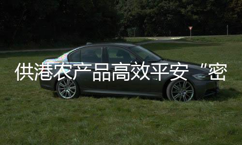 跨境运输效率大大提升