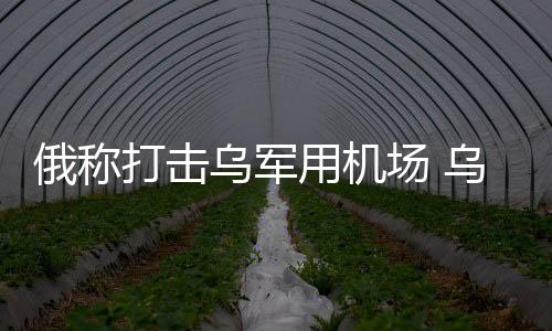 俄罗斯国防部10日发布战报称