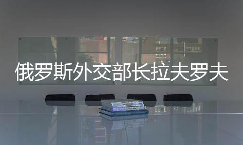 拉夫罗夫在结束朝鲜访问后
