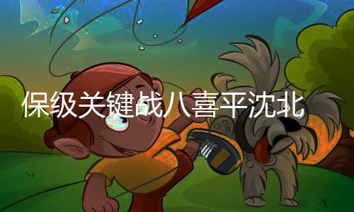保级北分为沈北扳平比分