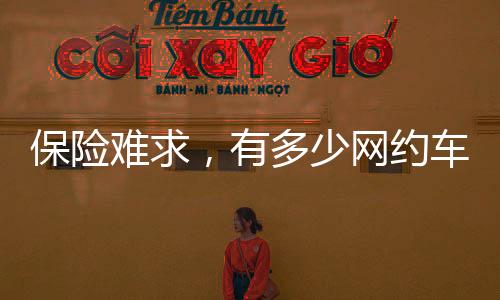 它们这次推介的裸奔不是车险