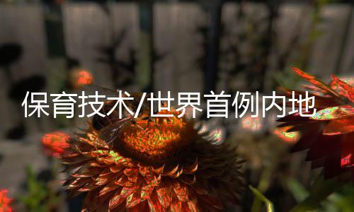 世界首例发布会现场