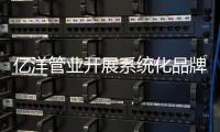 快排公司十年历程，霸屏兔 seo 的崛起与坚守