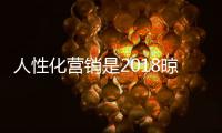 快排公司十年历程，霸屏兔 seo 的崛起与坚守