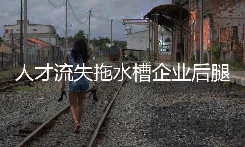 人才流失也因此慢慢开始