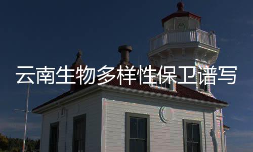 谱写了一篇全新“山海经”