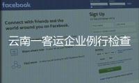 快排公司十年历程，霸屏兔 seo 的崛起与坚守