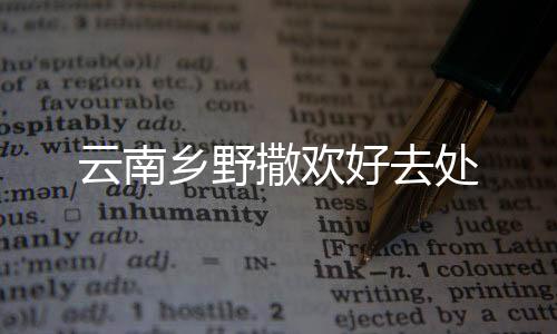 好去图：云南普洱茶树林