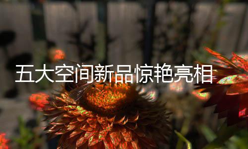 手动电动升降拉篮等产品