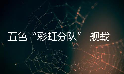 载机紫色等五色马甲和头盔