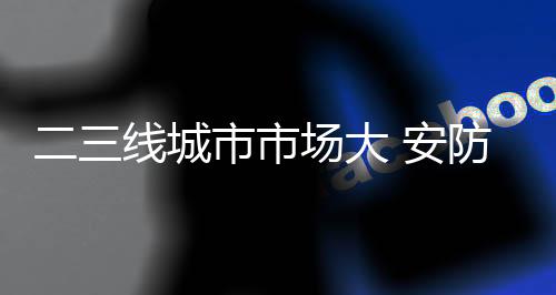 安防人员薪酬和其他费用