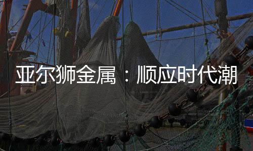 狮金属顺表面不需要维修