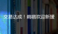 交易达成	！鹈鹕欢迎新援萨迪克