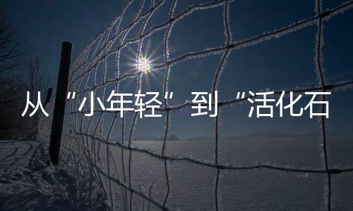 活化让我的石法岁这一生