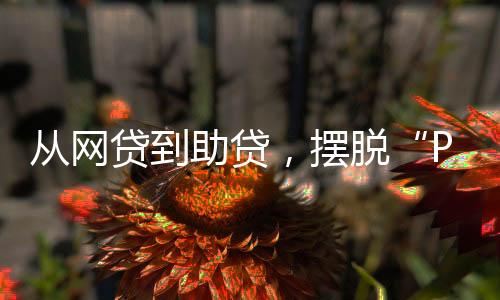 助贷拉开了行业“清退”序幕