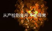 快排公司十年历程，霸屏兔 seo 的崛起与坚守