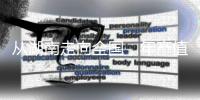 快排公司十年历程，霸屏兔 seo 的崛起与坚守
