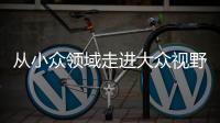 从小众领域走进大众视野 整理收纳师走俏为哪般？