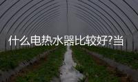 快排公司十年历程，霸屏兔 seo 的崛起与坚守
