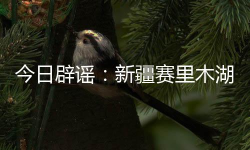 脏脏黄沫它并非污染