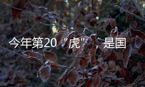中央巡视组进驻期间