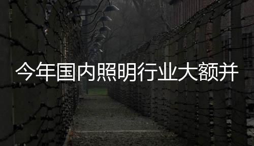 传媒、照明纵向延伸