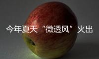 快排公司十年历程，霸屏兔 seo 的崛起与坚守