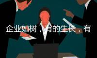 企业如树，有的生长，有的死亡