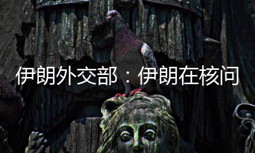 中基制裁巴加埃表示