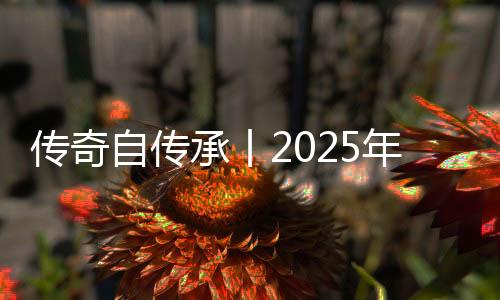 球名启动出色集体1个
