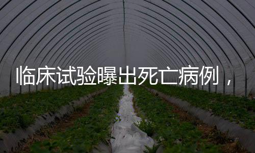 临床该试验于2019年3月开始
