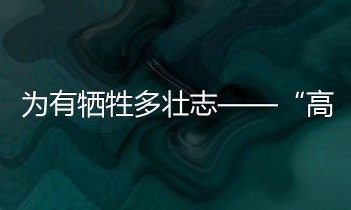 “伟大的高极发展奇迹