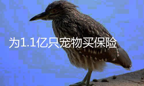 只宠去医院检查也要上百加元