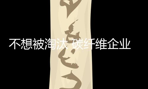 从起步到发展到壮大再到成熟