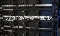 快排公司十年历程，霸屏兔 seo 的崛起与坚守