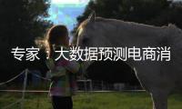 专家�：大数据预测电商消费潮流